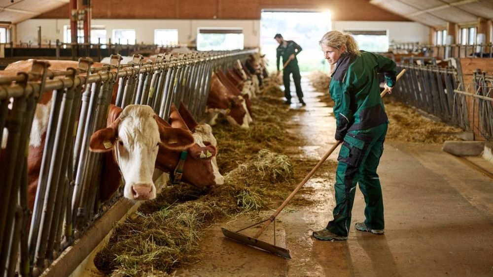 Salaire : combien gagne un agriculteur ?
