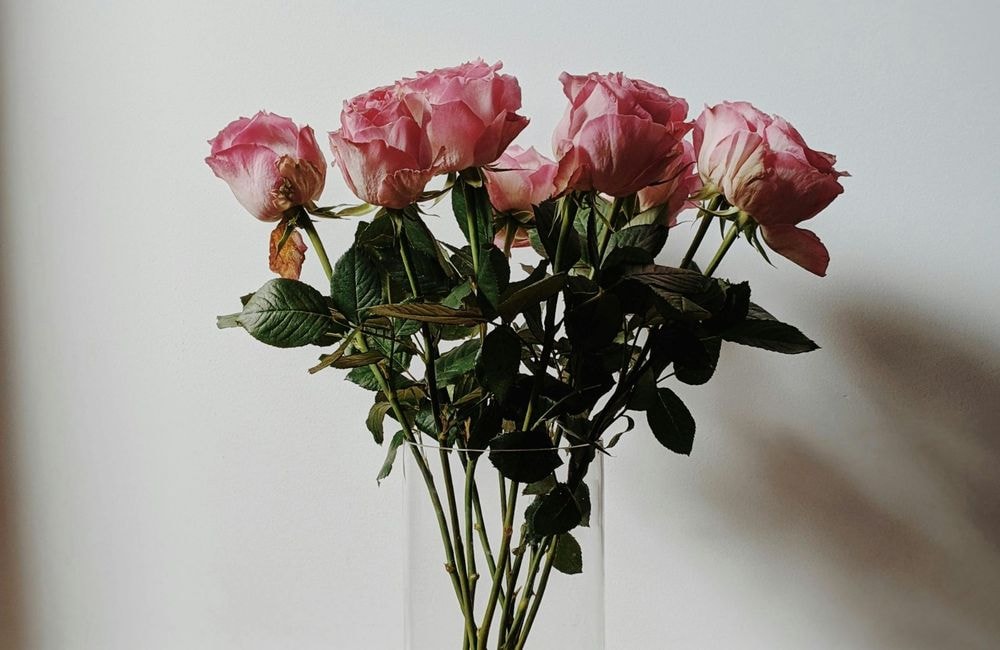 Pourquoi faut-il arrêter de jeter votre bouquet de Saint-Valentin lorsqu'il est fané ?
