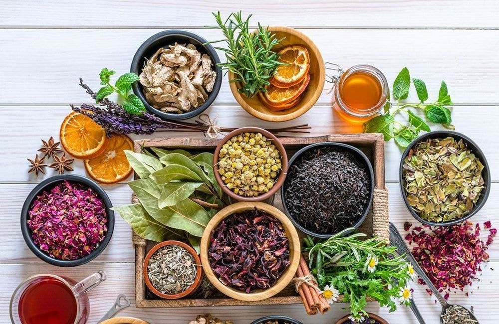 Les 5 meilleures plantes pour détoxifier son organisme