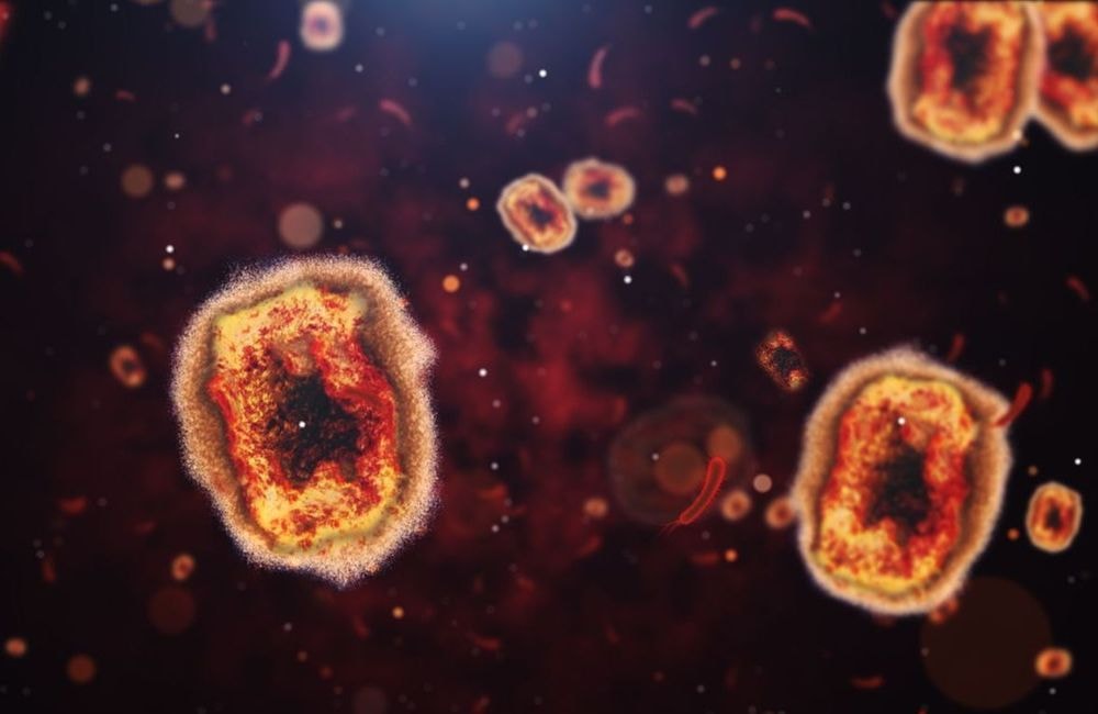 Alerte internationale, premier cas en Europe... Ce que l’on sait de l’épidémie de mpox et de sa dangerosité