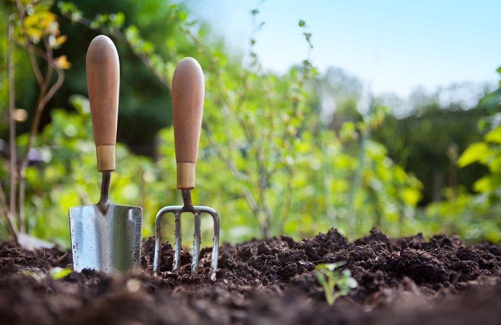 Les accessoires indispensables pour prendre soin du potager