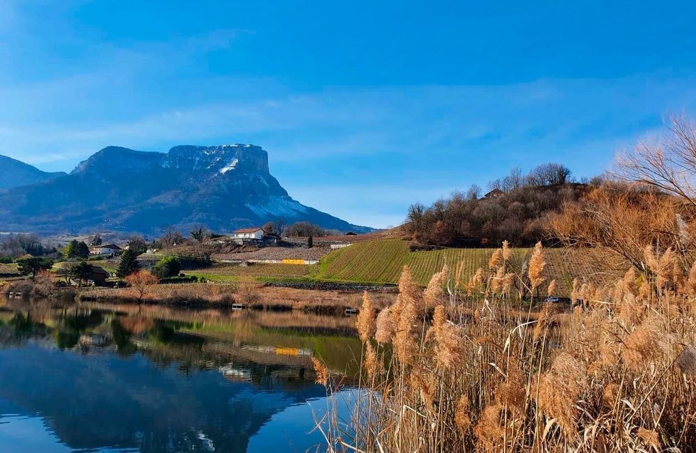 Balades, camping... nos adresses pour une séjour écolo en Rhône-Alpes-Auvergne