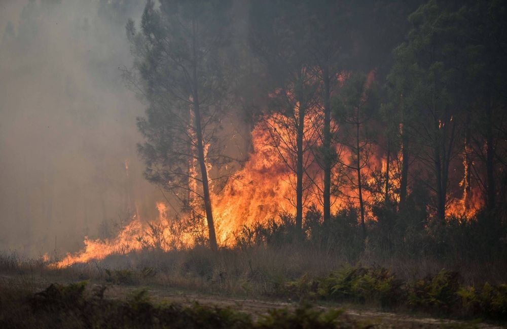 Un barbecue mal éteint provoque un incendie sur 400 hectares dans l’Aude