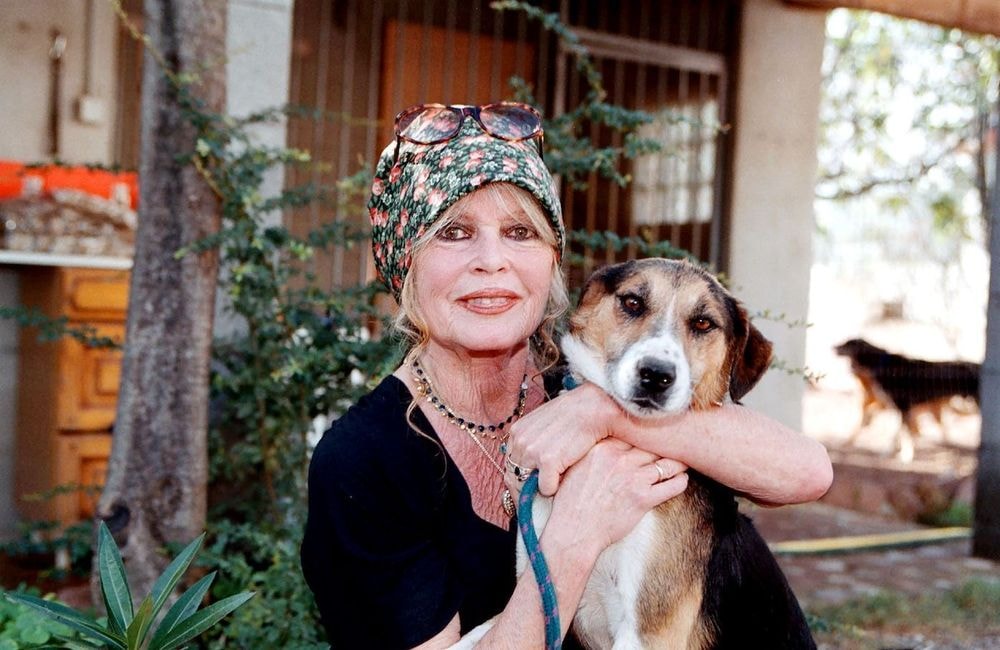 Mort de Brigitte Bardot : son mari Bernard d'Ormale reprend les rênes de la fondation