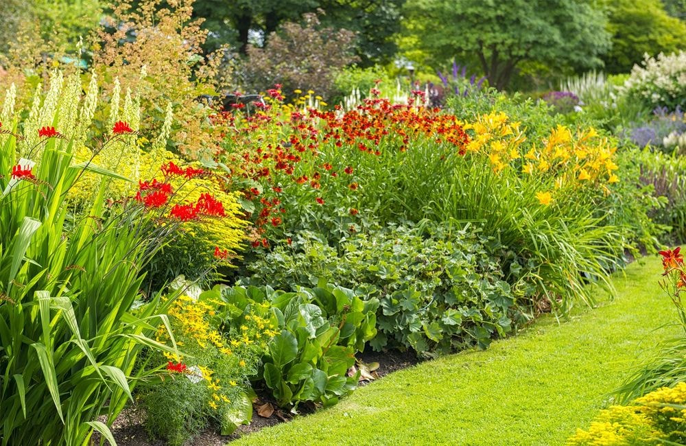 Congés et vacances d’été : le guide ultime pour entretenir ses plantes en intérieur comme en extérieur