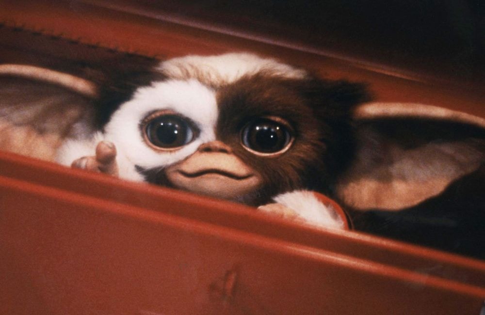 « Gremlins » : la saga de Steven Spielberg bientôt de retour ?