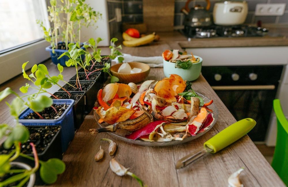 Quels sont les aliments à ne pas mettre dans le compost ?