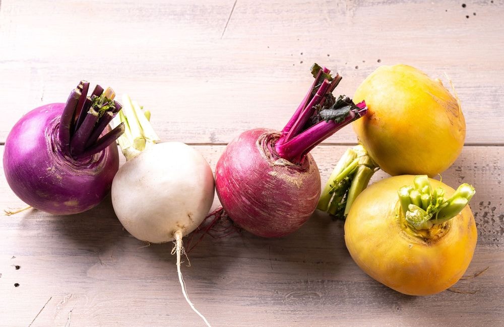 Cultiver les navets du printemps à l’hiver