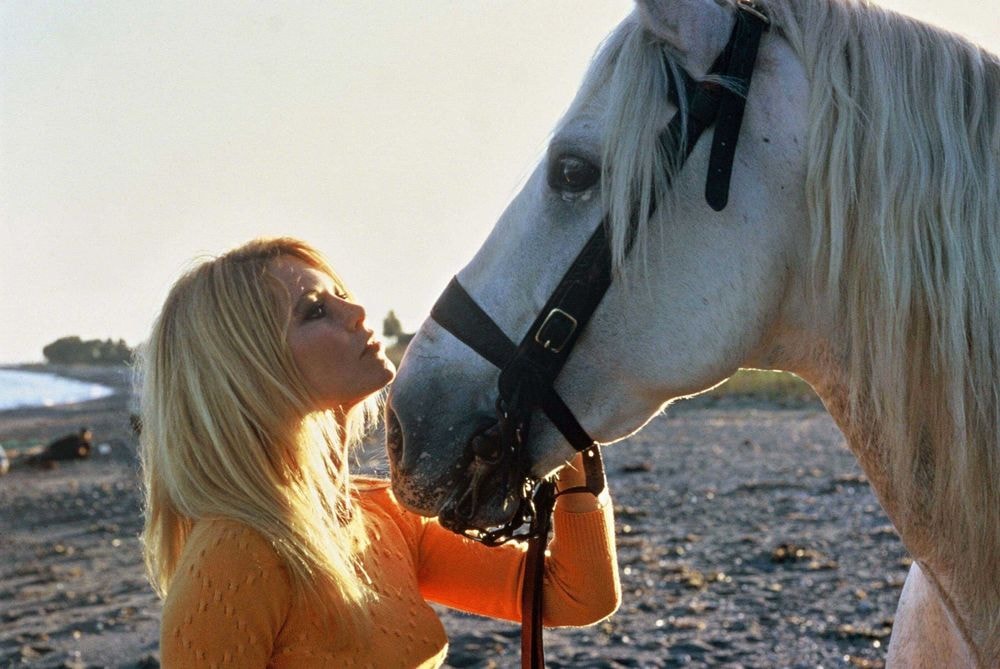 Quel est le dernier film de Brigitte Bardot ?