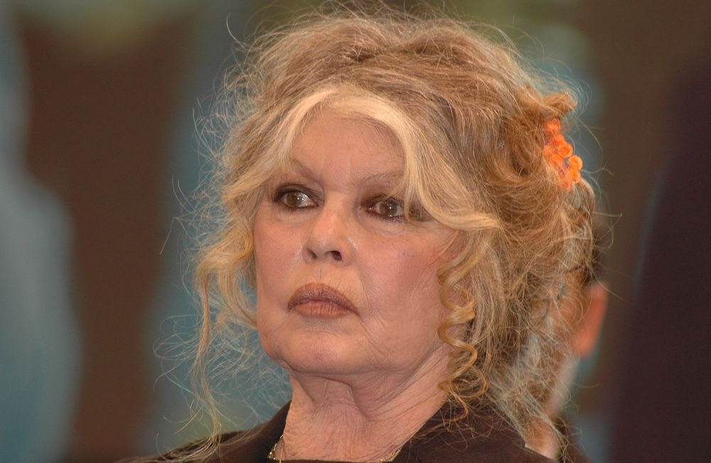 Brigitte Bardot : qui sont Théa et Anna Charrier, ses petites filles ?