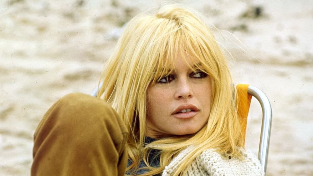 Ce jour où Jacques Dutronc a dérapé avec Brigitte Bardot, Françoise Hardy en alerte : "Cela jeta un froid…"