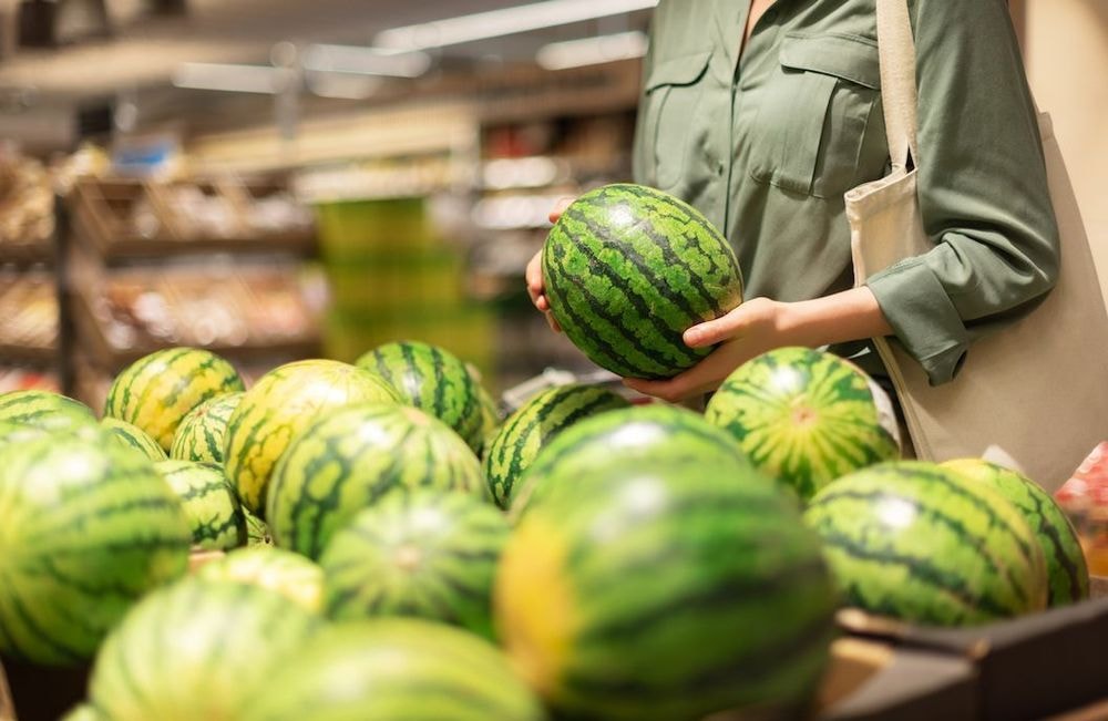 Comment bien choisir sa pastèque en un coup d’œil