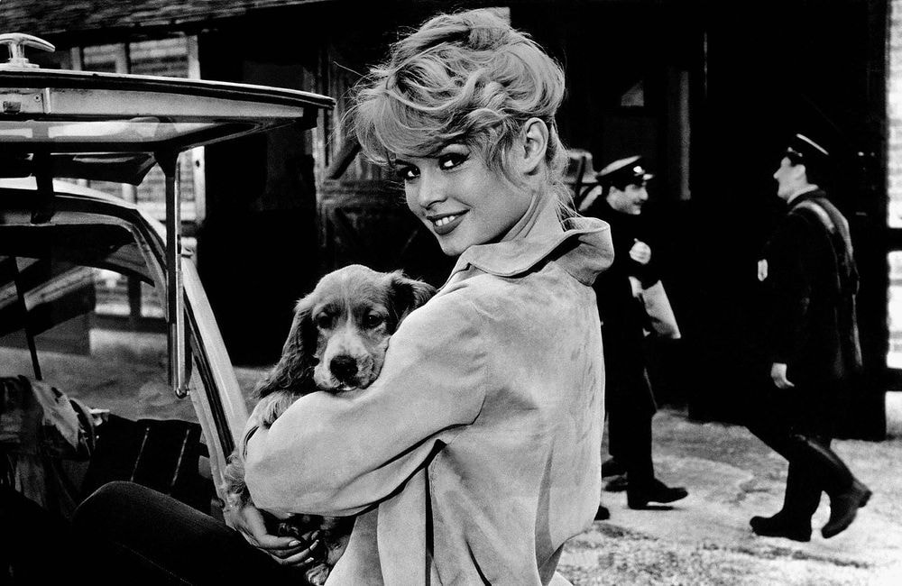 Brigitte Bardot : les prises de position polémiques d’une icône aux multiples scandales