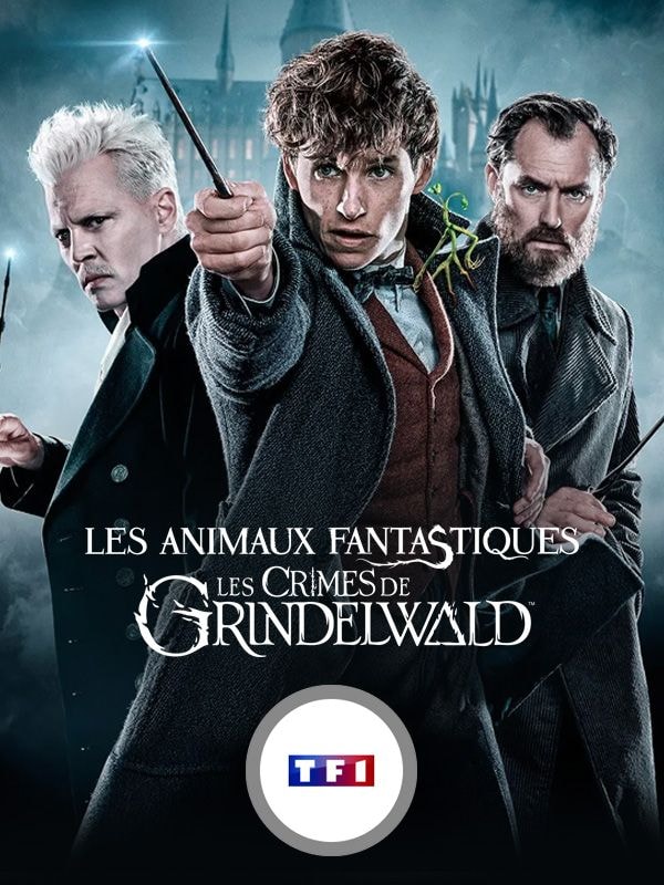 les crimes de grindelwald-600x800.jpg