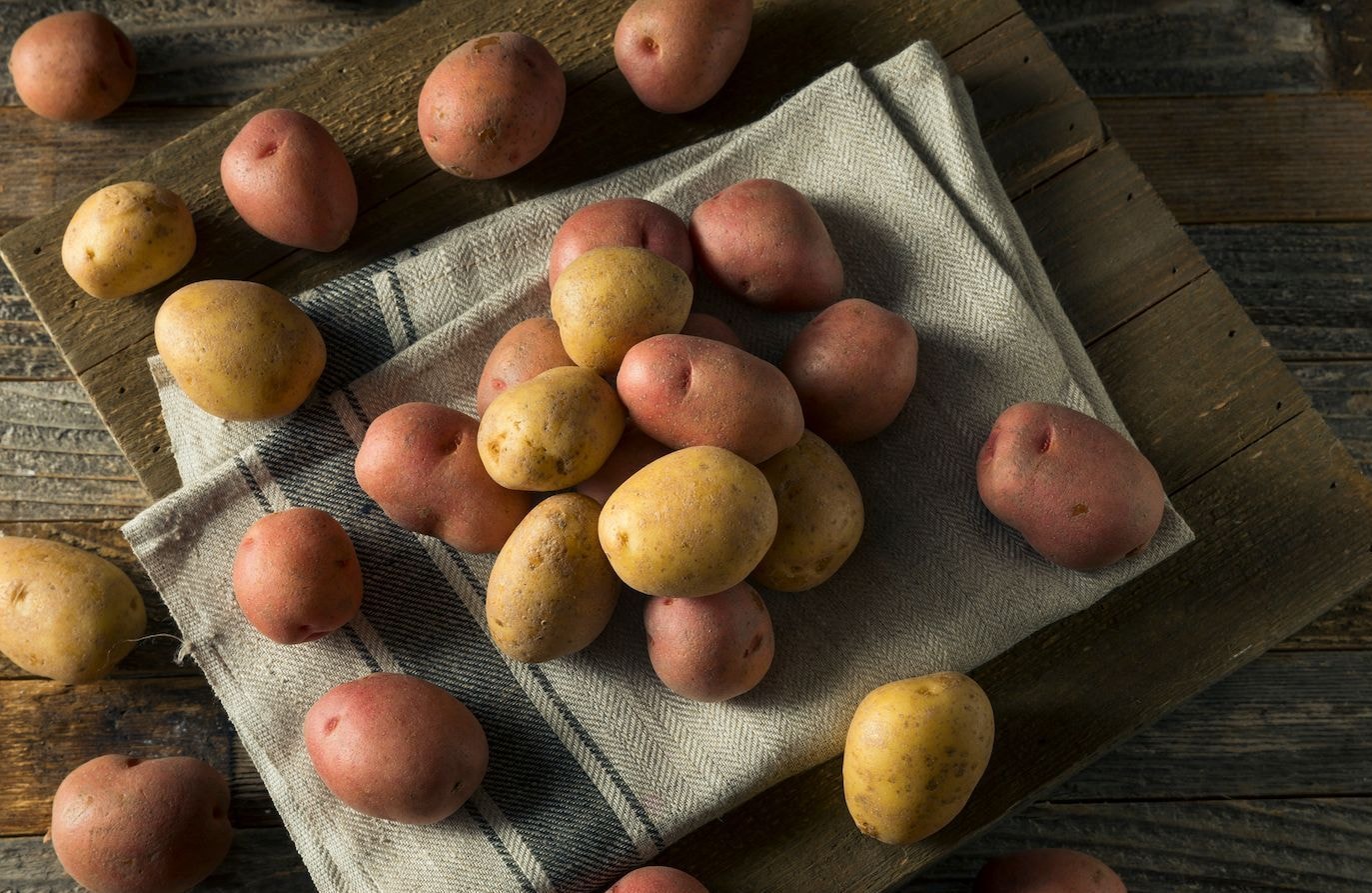 Quelle pomme de terre pour quelle recette ?
