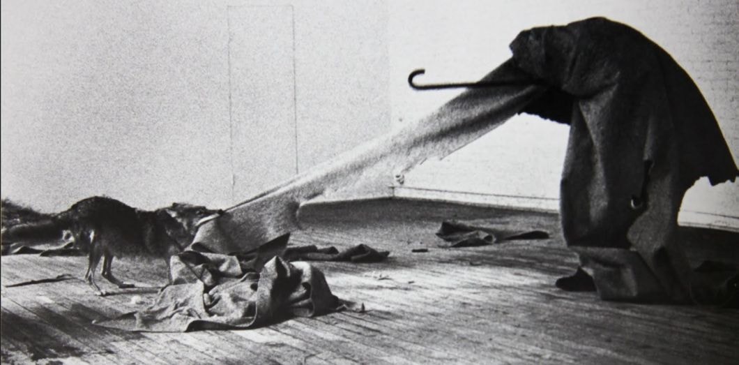 «I like America and America likes me»: Joseph Beuys se fait enfermer avec un coyote sauvage