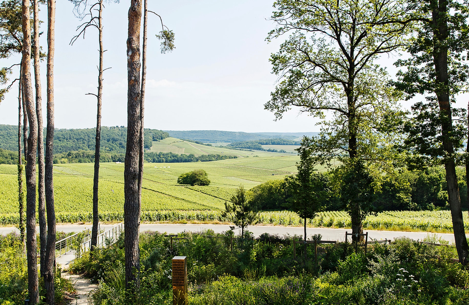 L’Horisium, la table « brut nature » de l’hôtel Loisium