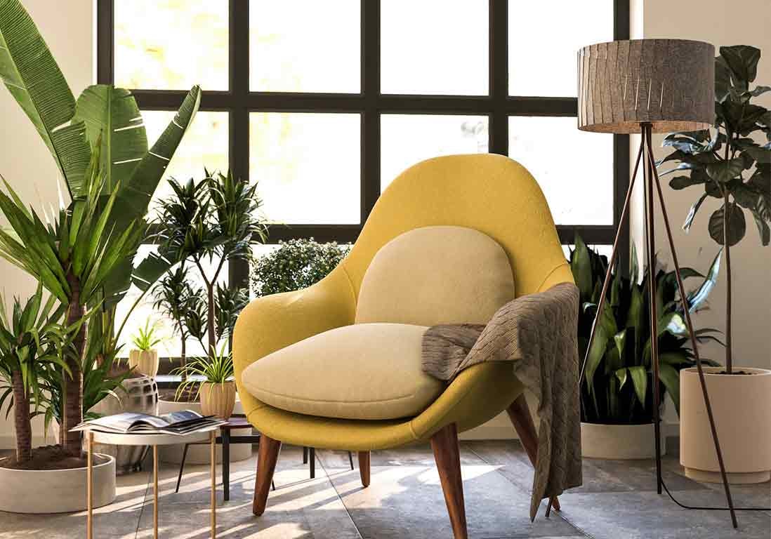 Plantes d’intérieur, que faire en automne ?