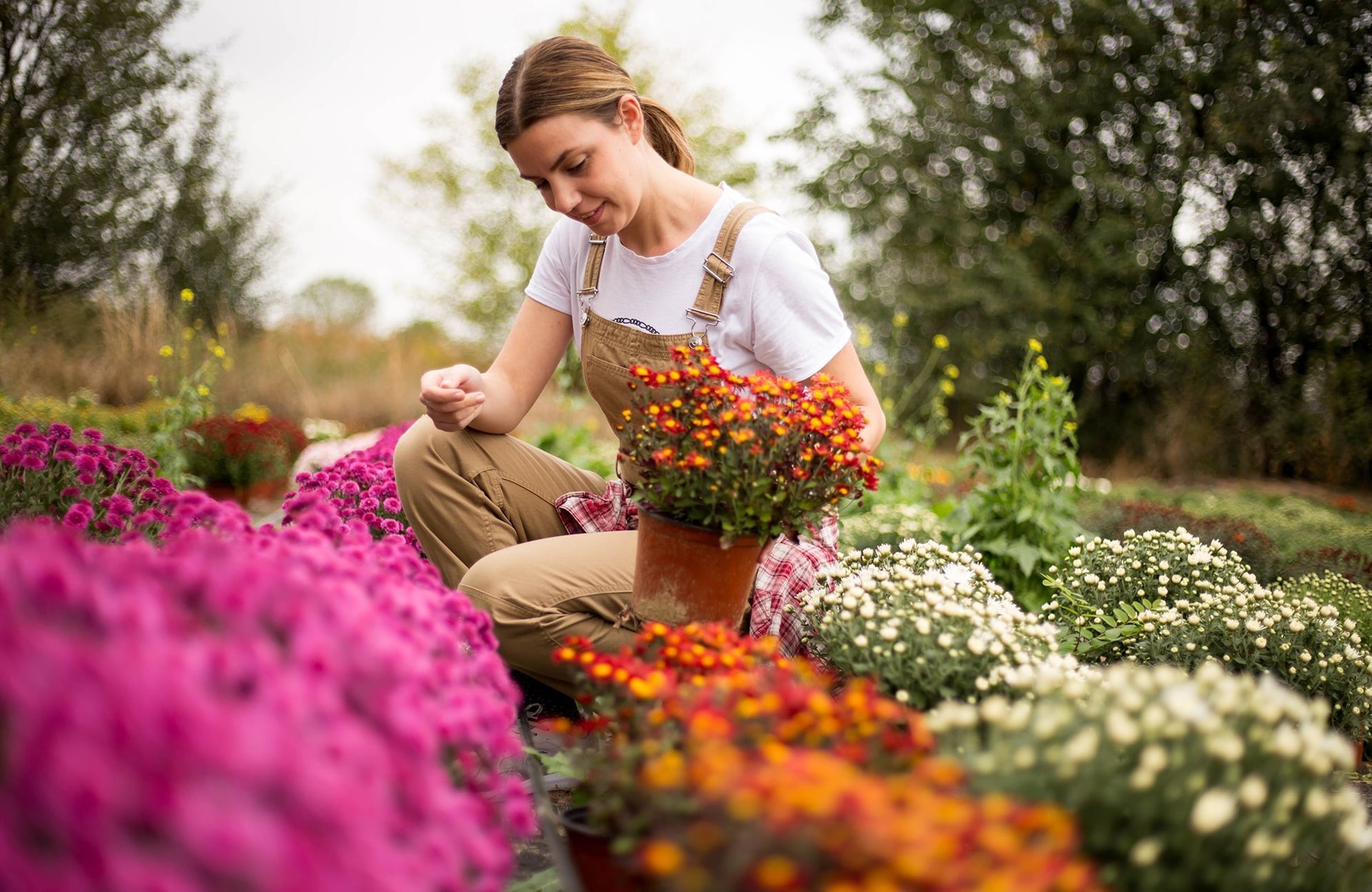 Que faire au jardin en octobre ?