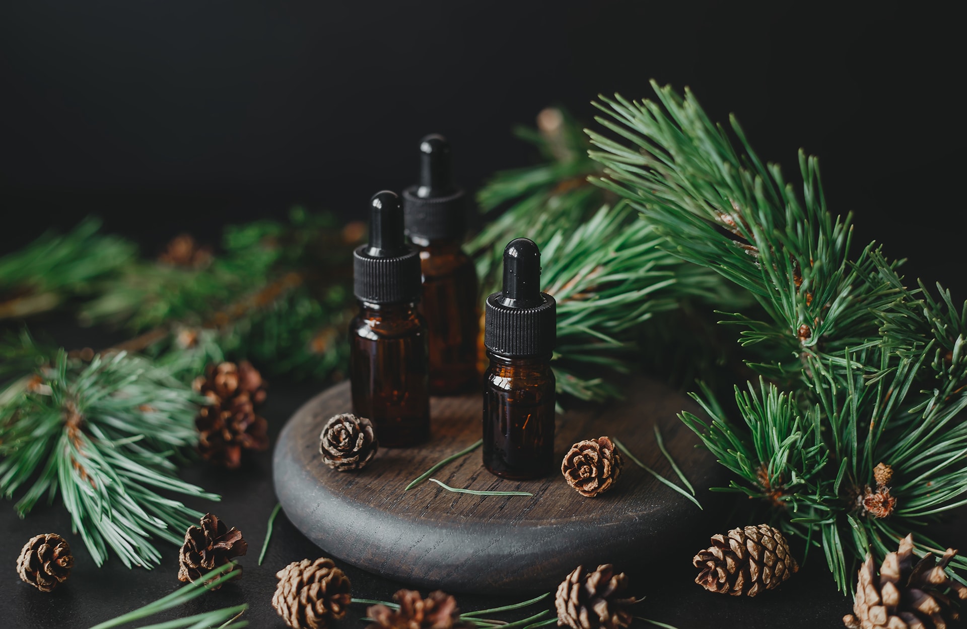 5 minutes pour fabriquer son parfum d’intérieur senteur sapin