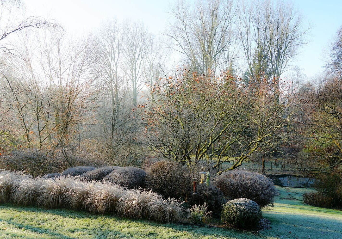 Que faire au jardin en janvier ?