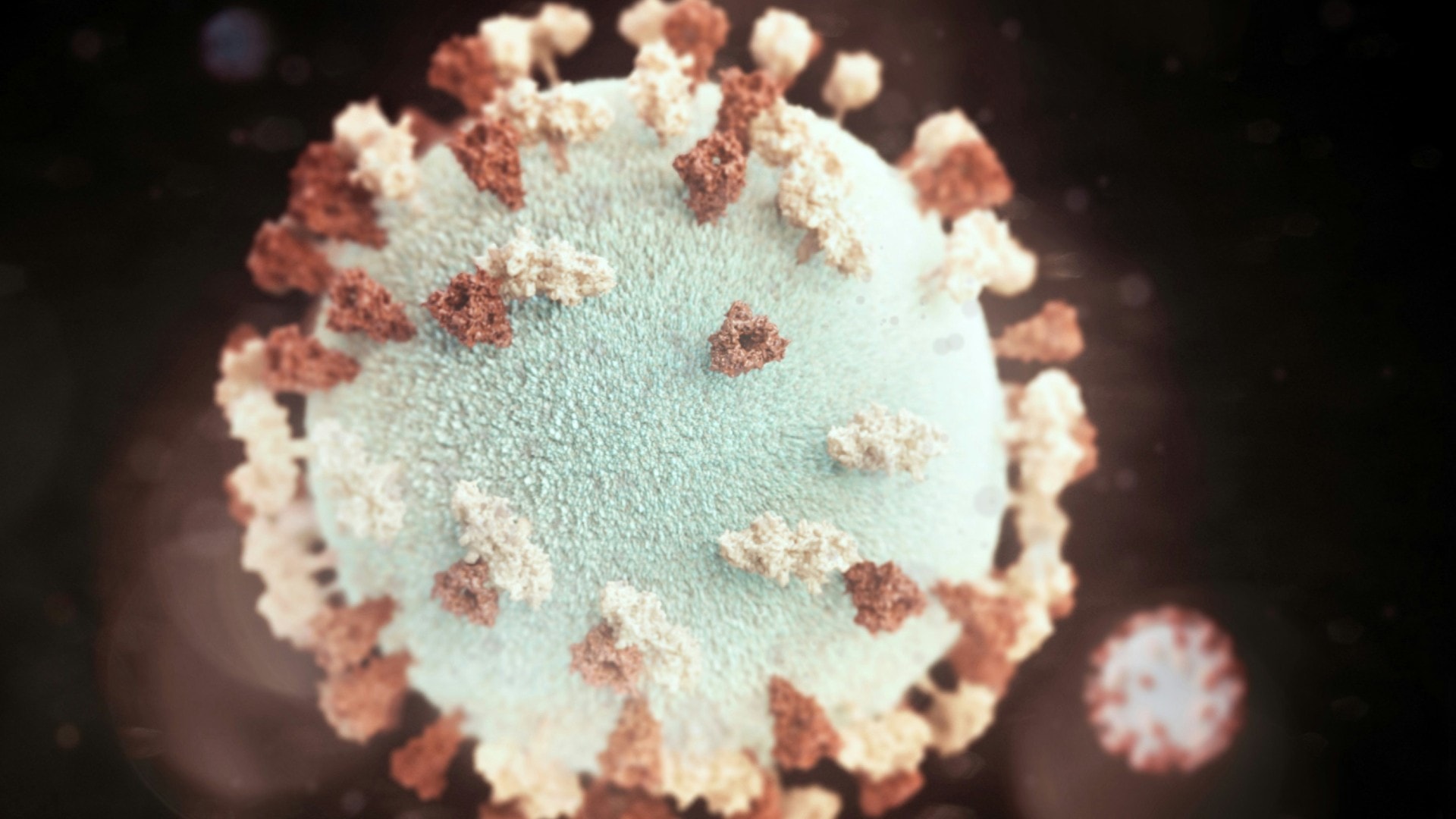 L’Alaskapox, ce mystérieux virus qui vient de faire un mort