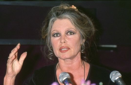 Mort de Brigitte Bardot : ses derniers instants dévoilés, aux côtés de son époux Bernard d’Ormale