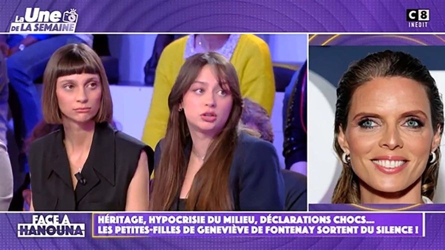 "Cracher dans la soupe", Sylvie Tellier et Nathalie Marquay fracassées par les petites-filles de Geneviève de Fontenay chez Hanouna