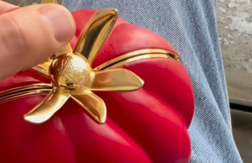 Quand un mème devient un sac tomate chez Loewe