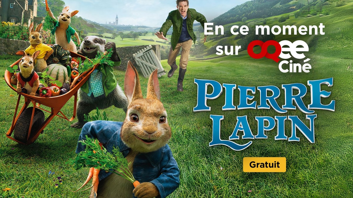 Portail-Free-PierreLapin.jpg