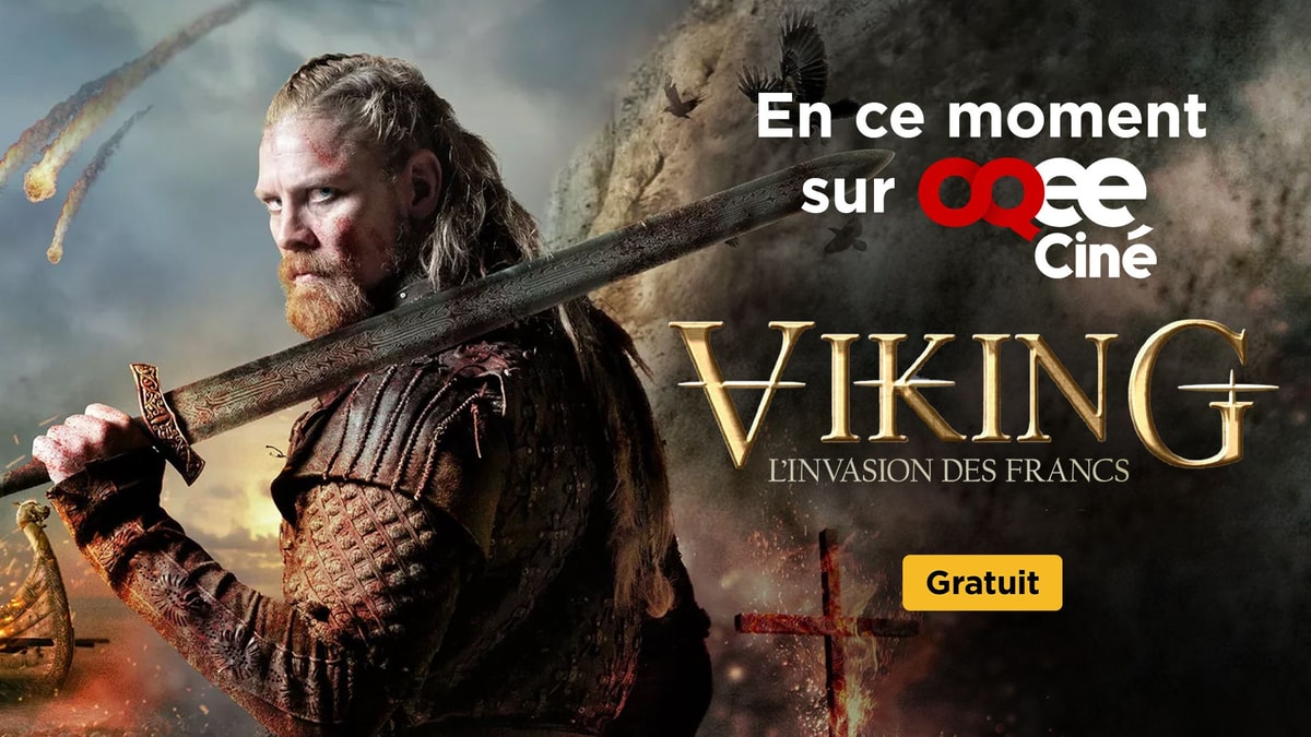 Portail-Free-Vikings.jpg