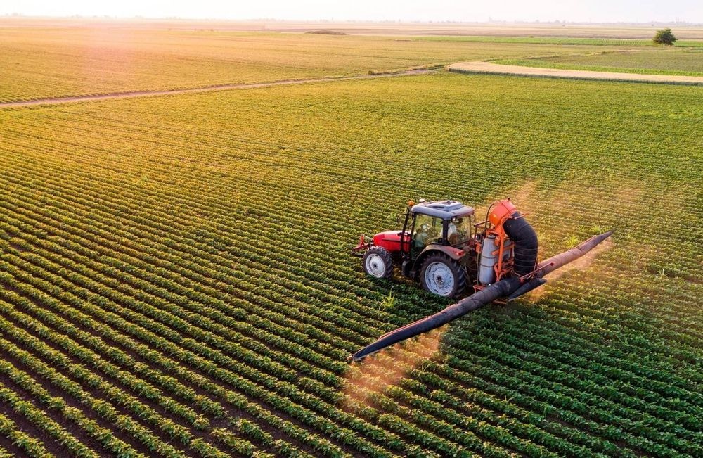 Dépistages du cadmium dès l’automne : pourrez-vous en bénéficier ?
