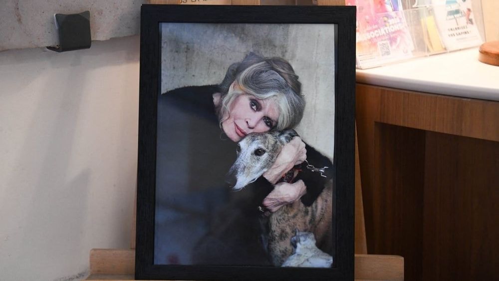 « Sans Bri, j'ai l'impression d'être amputée » : Les confidences déchirantes de Mijanou après la mort de Brigitte Bardot