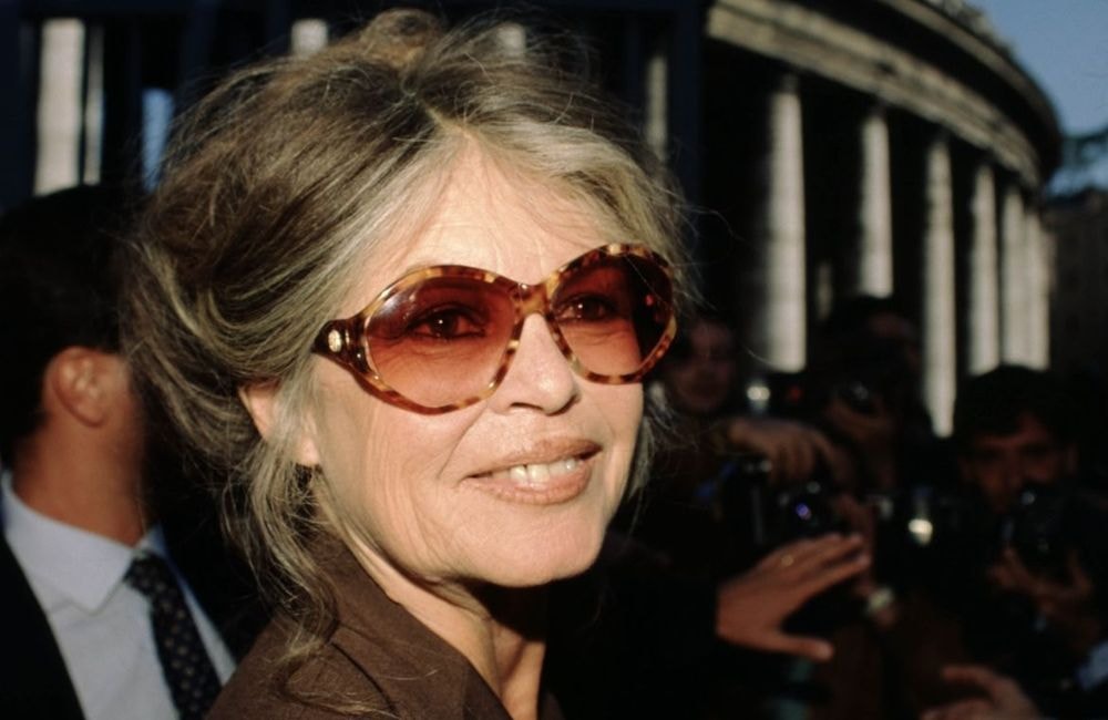 Brigitte Bardot : son époux Bernard D’Ormale fait de rares confidences sur son fils unique Nicolas