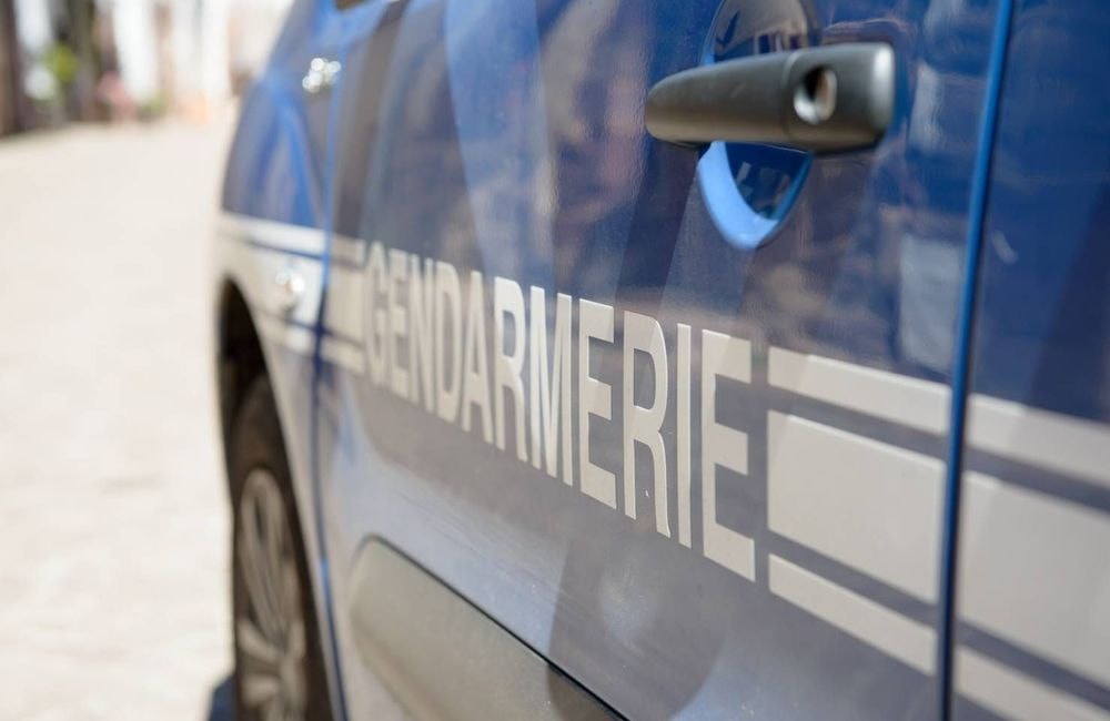 Affaire Jubillar : les ossements retrouvés sont bien ceux de Delphine Aussaguel, ce que l'on sait