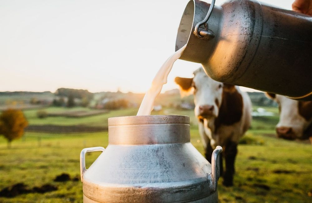 Fini le gaspillage : découvrez cette astuce pour conserver le lait plus longtemps