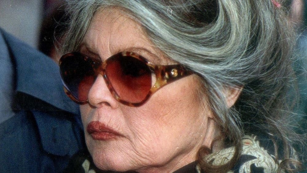 "Elle est dure" : Brigitte Bardot visée par les critiques d'Amanda Lear