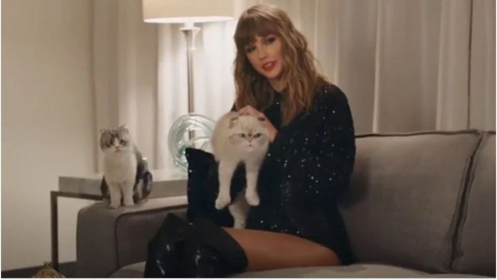 Sous le charme d'un chat abandonné sur un tournage, Taylor Swift a pris une décision radicale