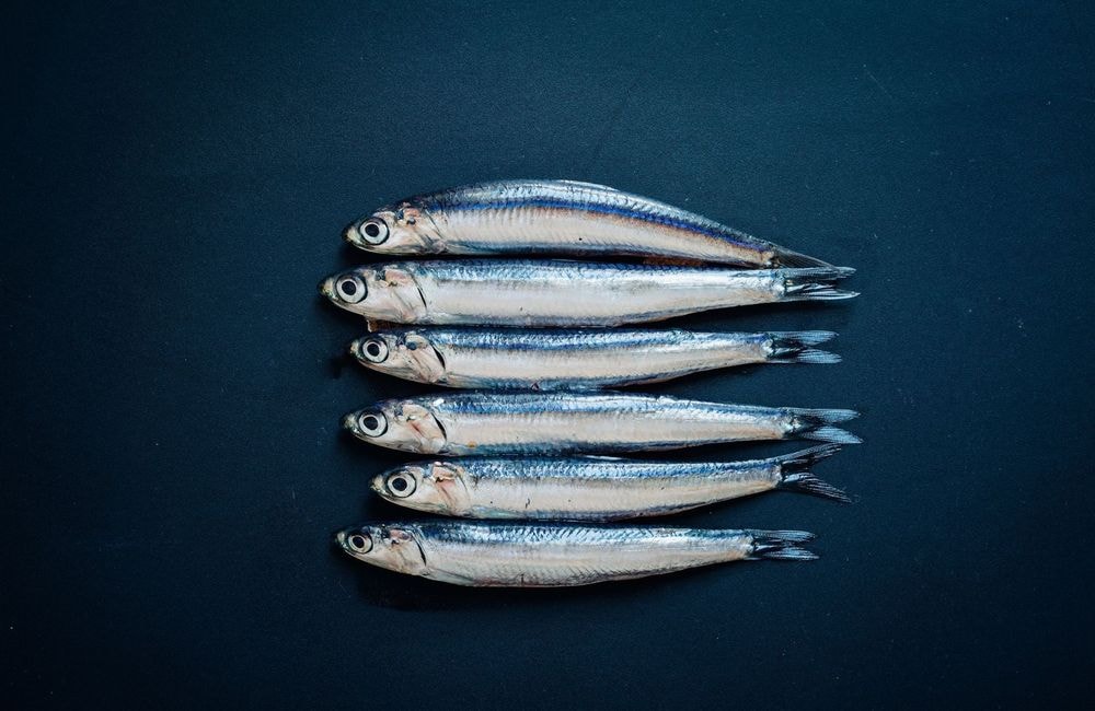 Pourquoi toutes les it-girls mangent-elles des sardines ?