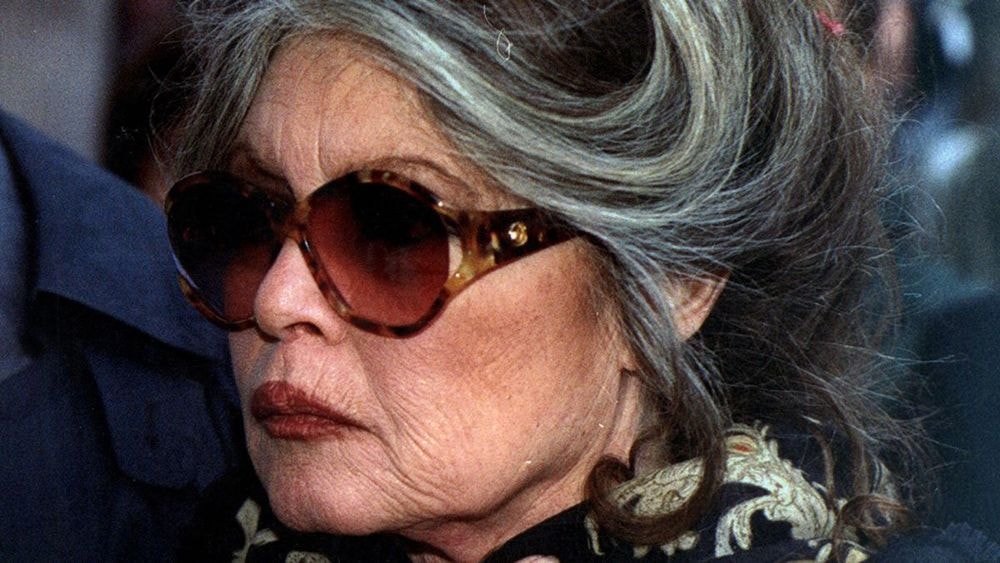 Brigitte Bardot, 89 ans, très franche sur sa solitude, "J'ai passé des Noëls en pleurs"