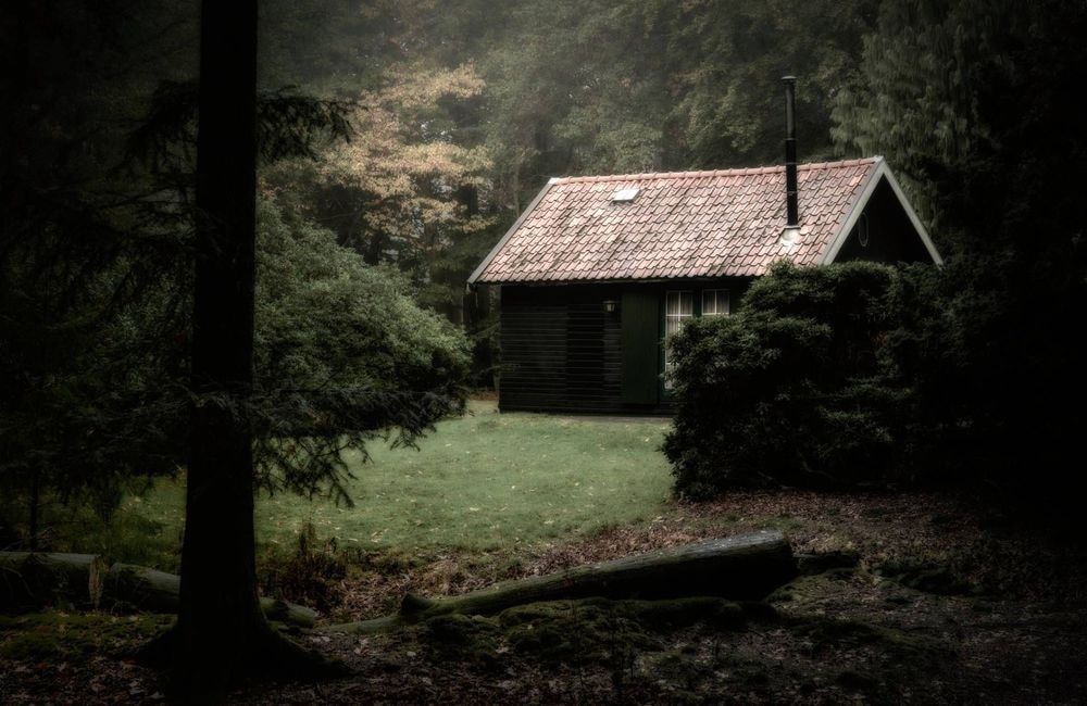 Il a caché ses enfants plusieurs années dans la forêt par peur du Covid