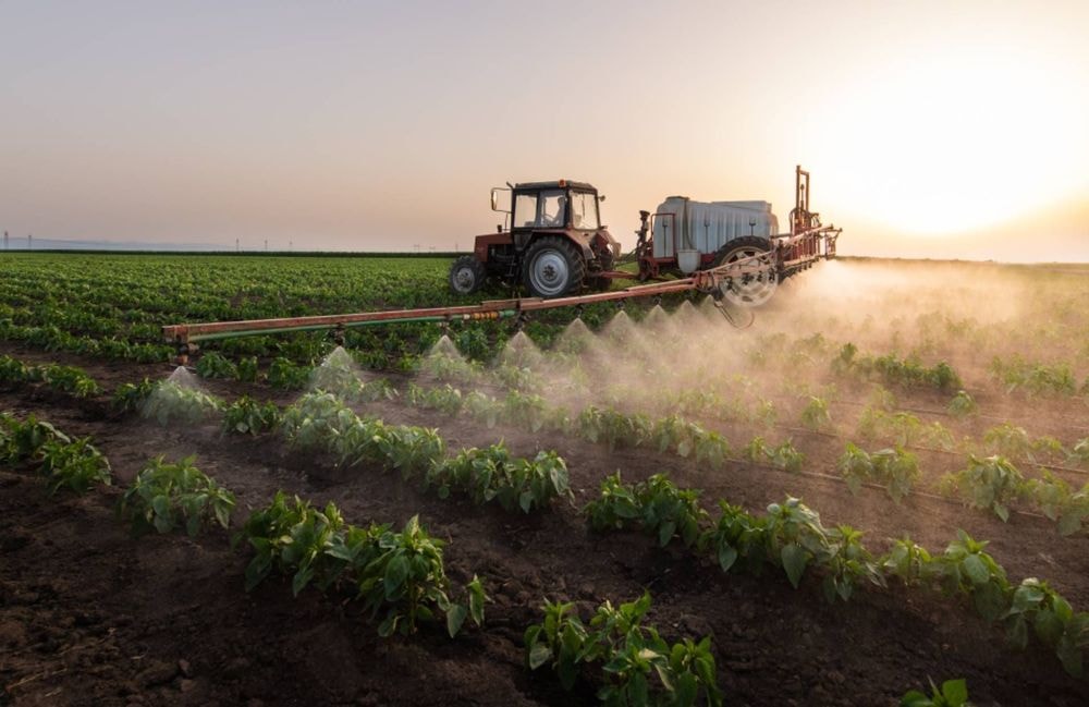 Qu’est-ce que l’acétamipride, ce pesticide dangereux que le Parlement veut réautoriser ?