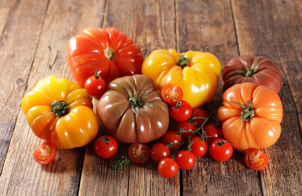 Quelle est la différence entre les tomates rouges, noires et jaunes ?