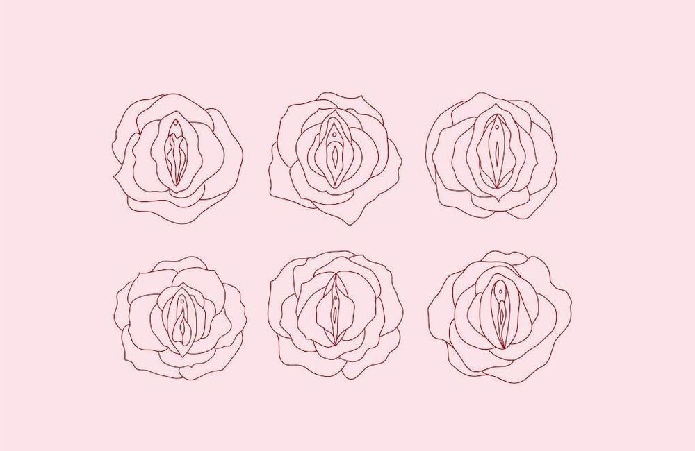 « Vulve », « pubis », « minou » : ce que révèle sur vous le surnom que vous donnez à vos parties intimes