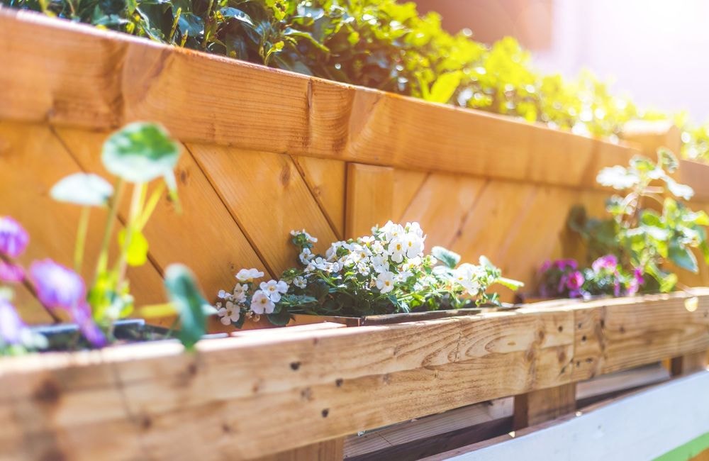 Les 5 signes qui prouvent que vos jardinières sont trop petites pour vos plantes