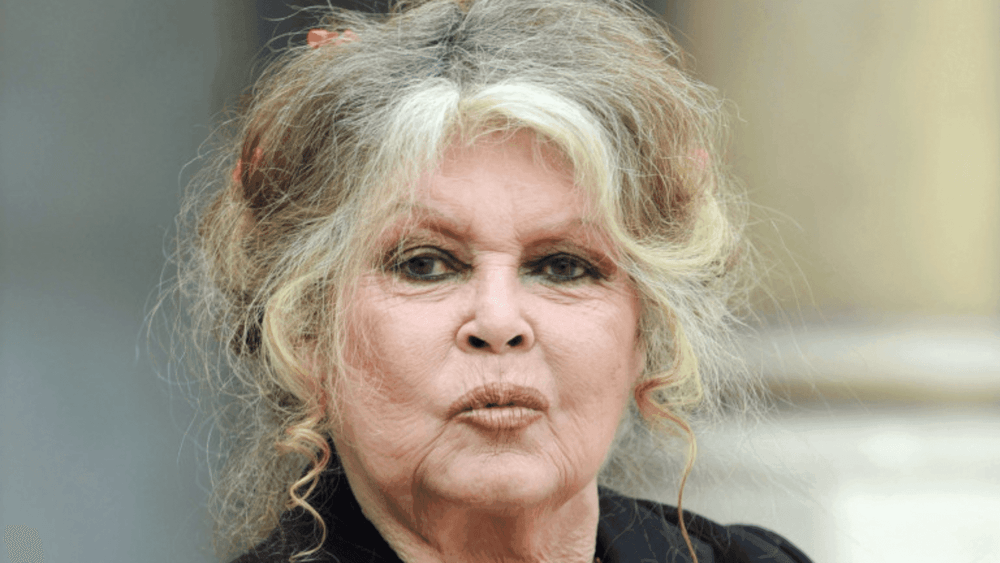 Brigitte Bardot : une star internationale regrette ses hommages à l'actrice !