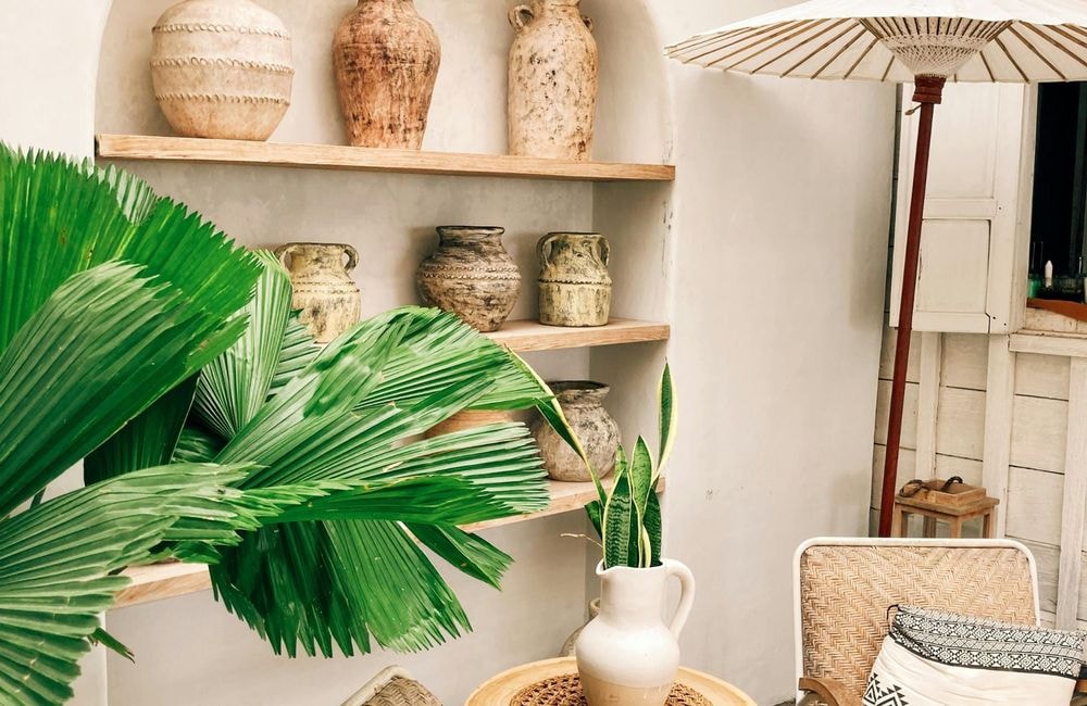 Comment faire survivre ses plantes pendant son absence ?