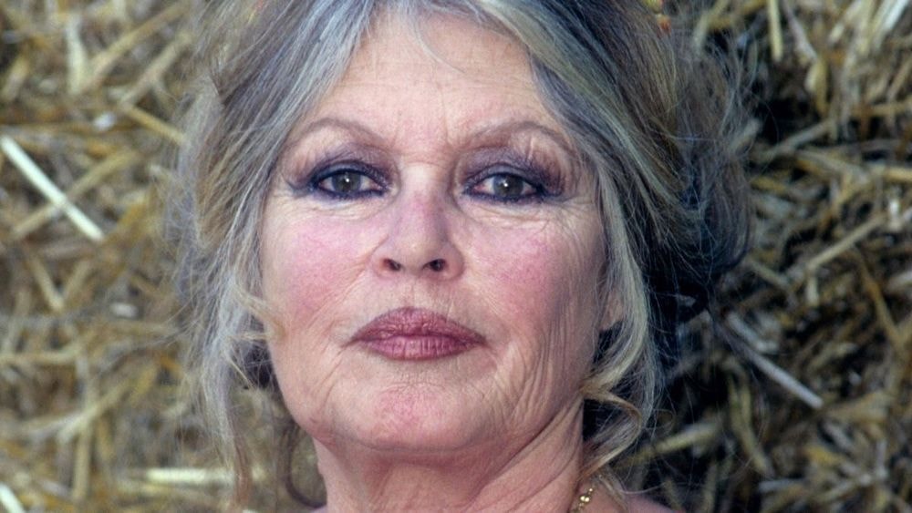 Y aurait-il des tensions avec le fils de Brigitte Bardot concernant son héritage ? Le veuf de la star dit sa version des faits