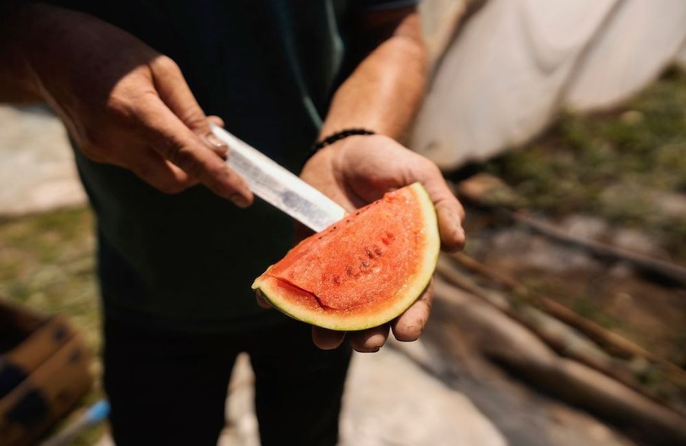 Comment donner du goût à une pastèque peu sucrée ?