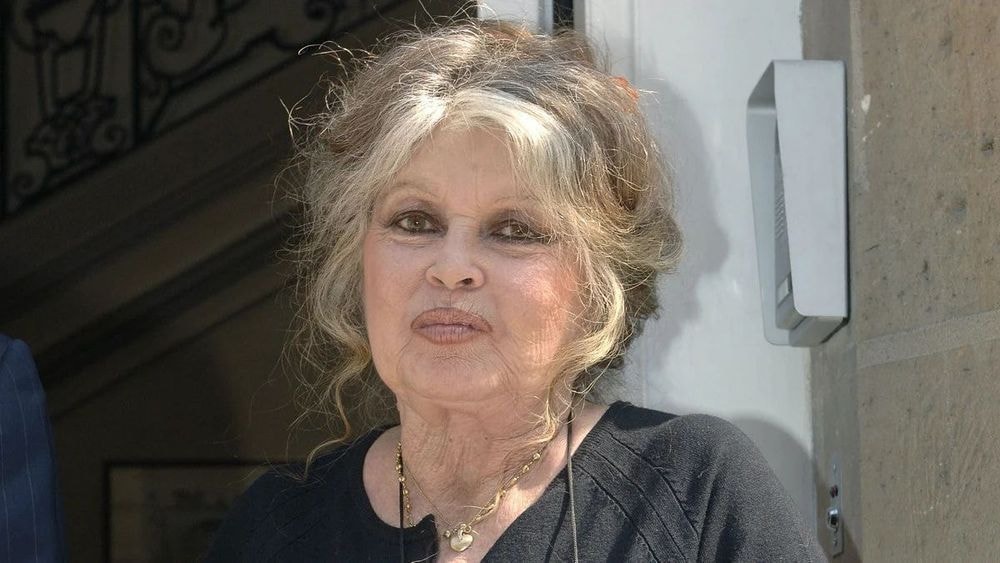 Christiane Taubira et Brigitte Bardot au Panthéon, "en Inde ou en Chine..." : le débat vire au clash sur RMC